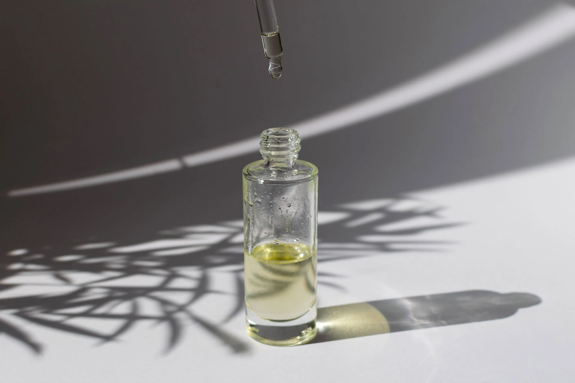 cocodor 生產與管理