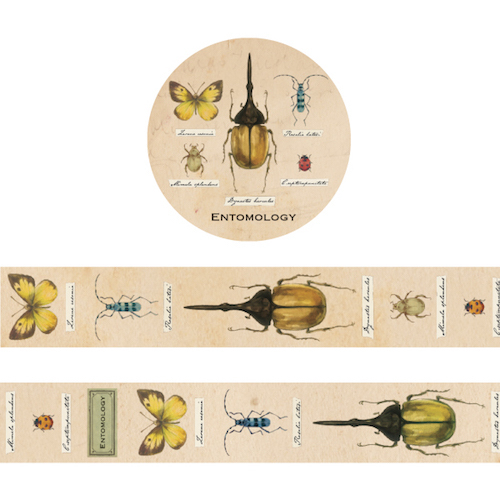 GreenFlash Washi Masking Tape－Study Holic (Japanese Stationery Brand)