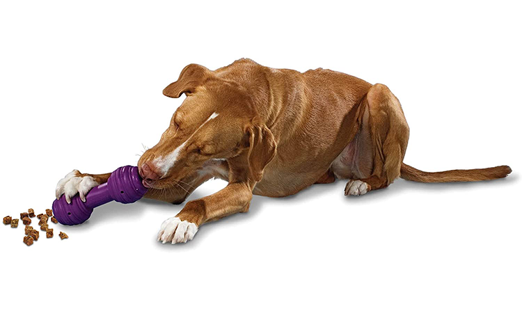 狗仔風笛啞鈴｜PetSafe