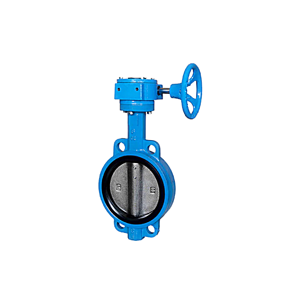 鑄鐵-齒輪式蝶閥