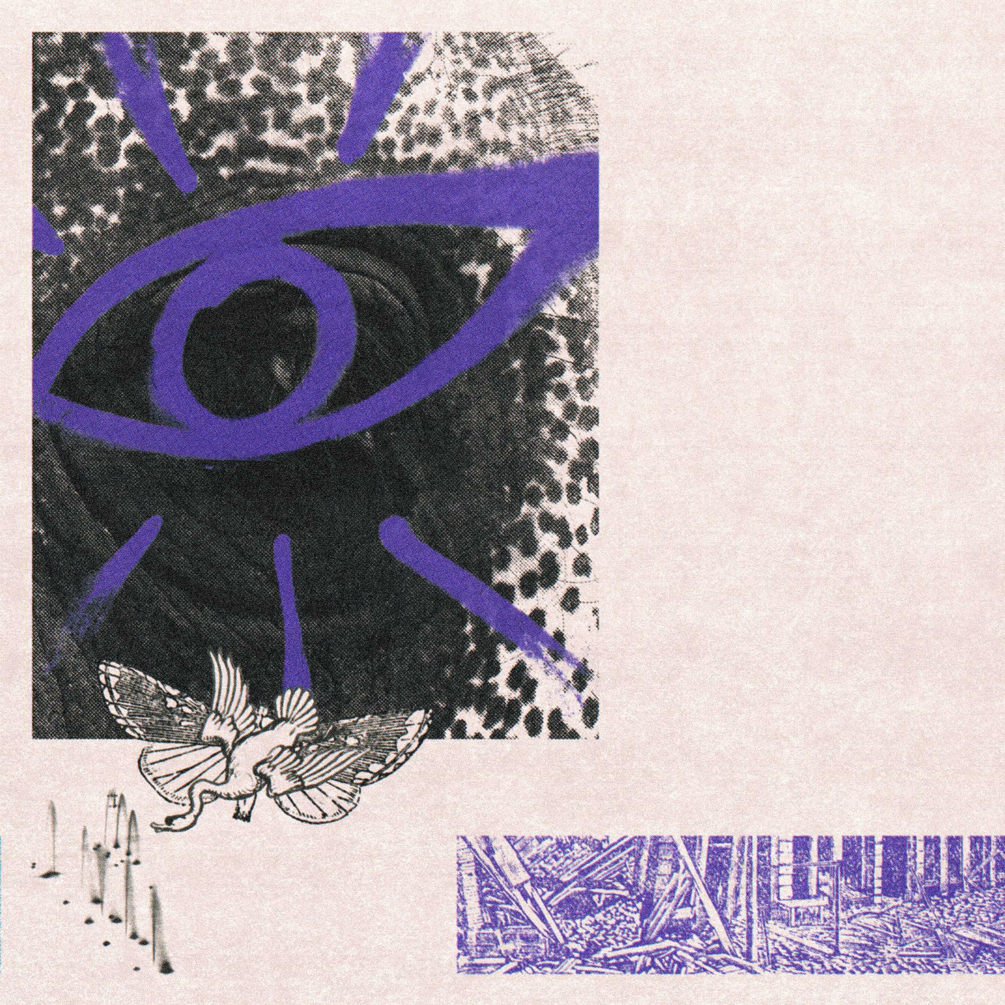 Hippo Campus《LP3》（限量紫膠LP）