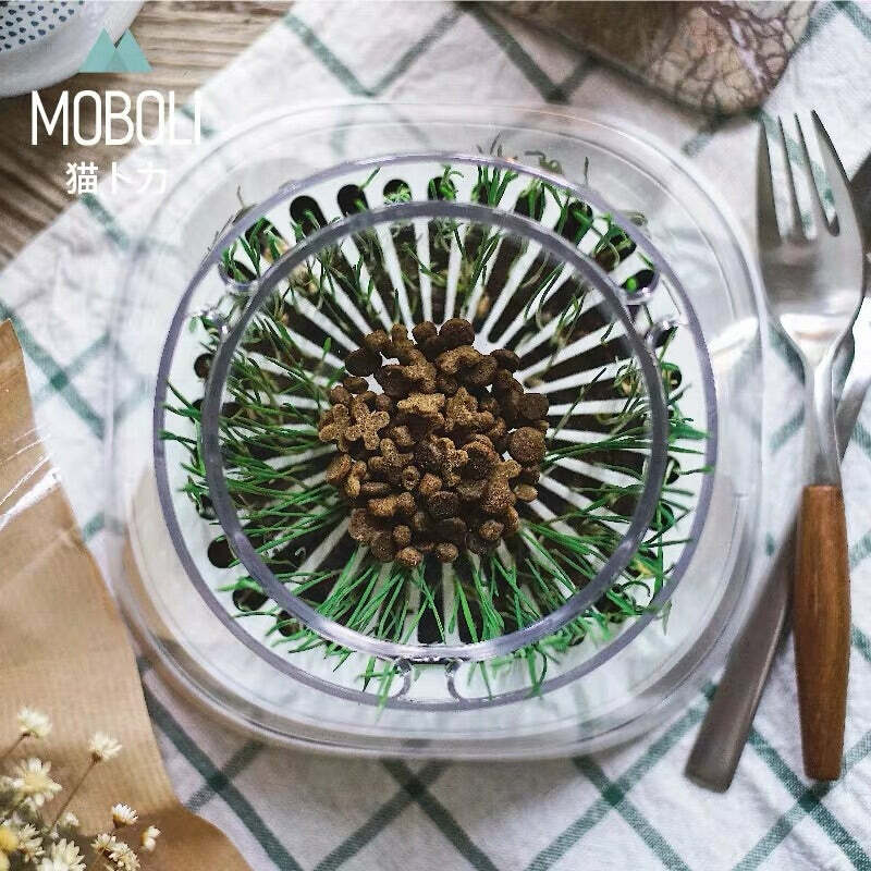 SECRET FOREST秘密森林貓草碗