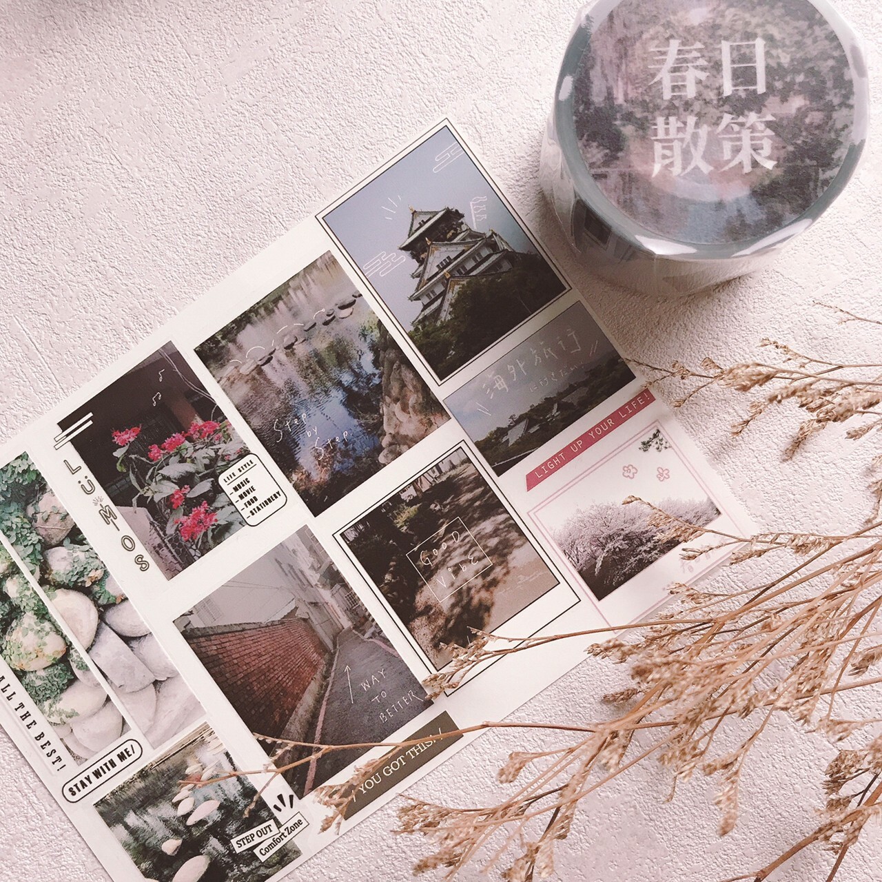 嗨賴 x LUMOS｜春日散策 PET膠帶