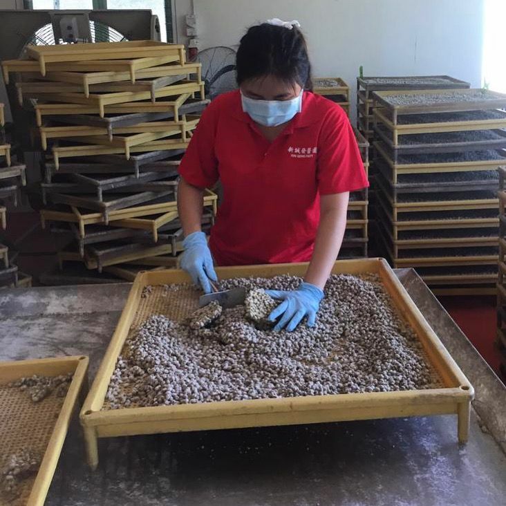 FEATURES ON : FIRST CLASSSE