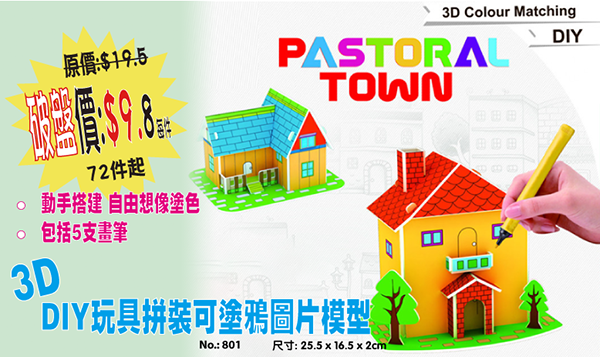 現貨區 3D DIY玩具拼裝可塗鴉圖片模型 801