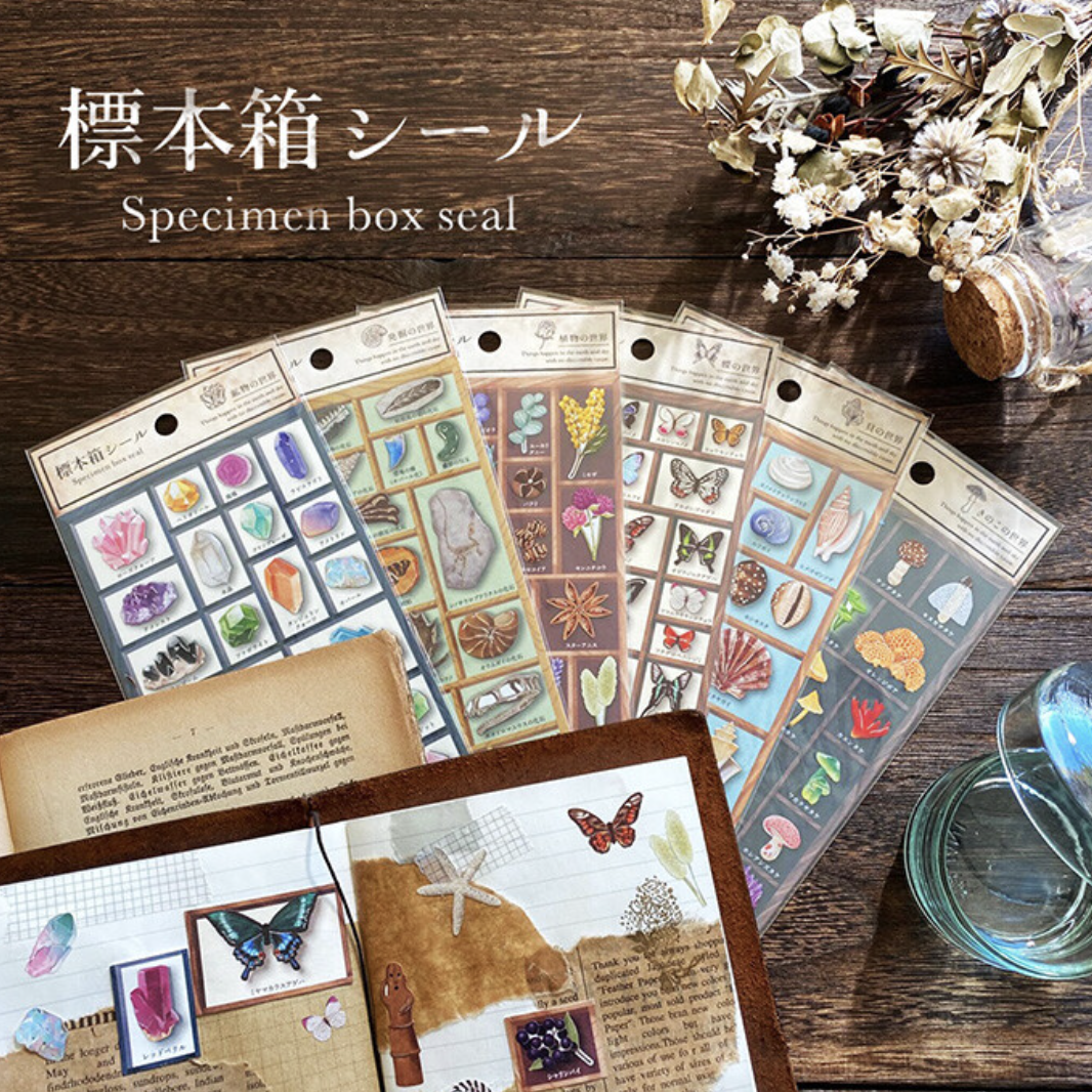 Mind Wave Sticker－Specimen Box Series (Japanese Stationery Brand)