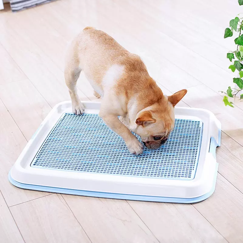 Iris Pet sheet tray S/L Pink / Brown / Blue