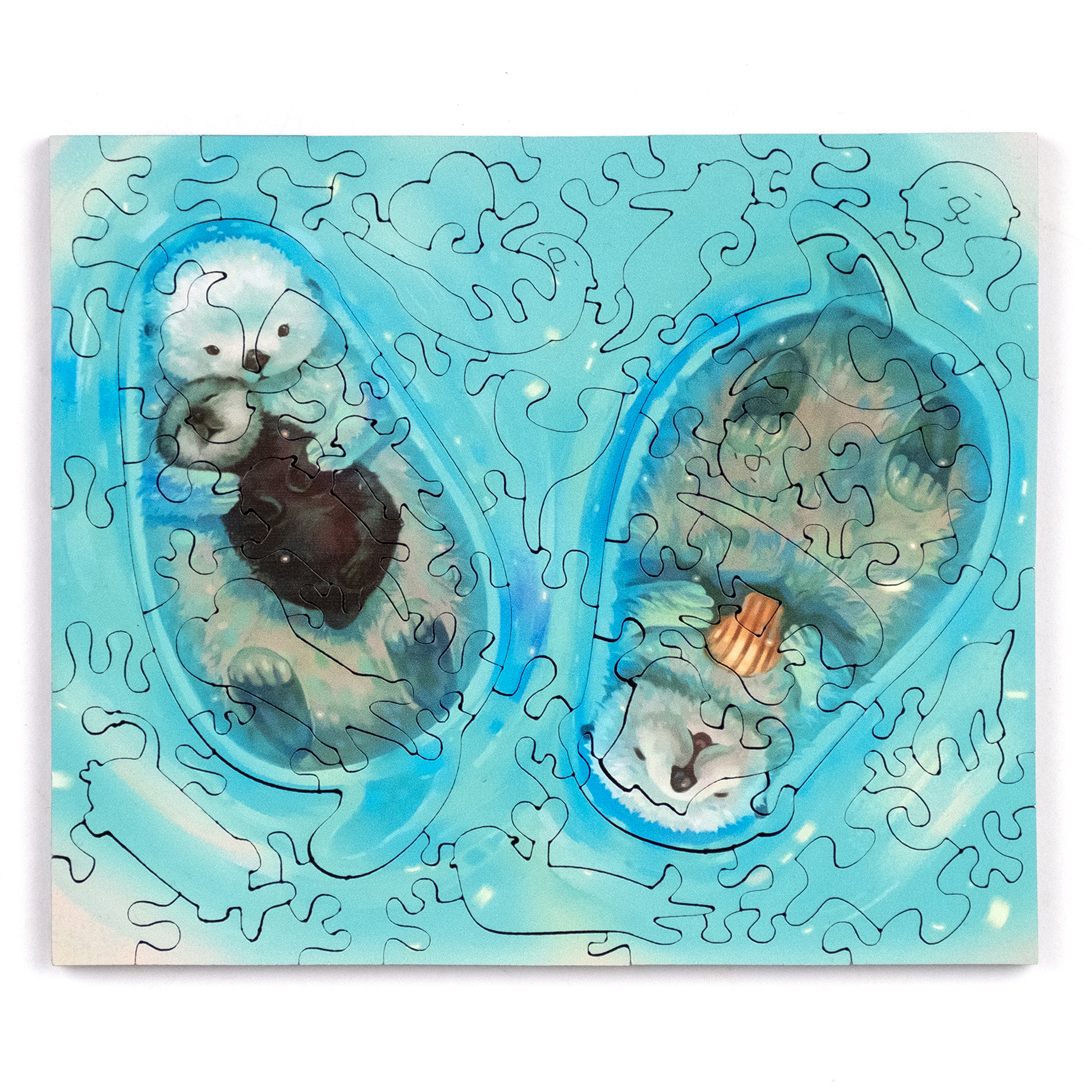 海獺寶貝 Sea ​Otter Baby