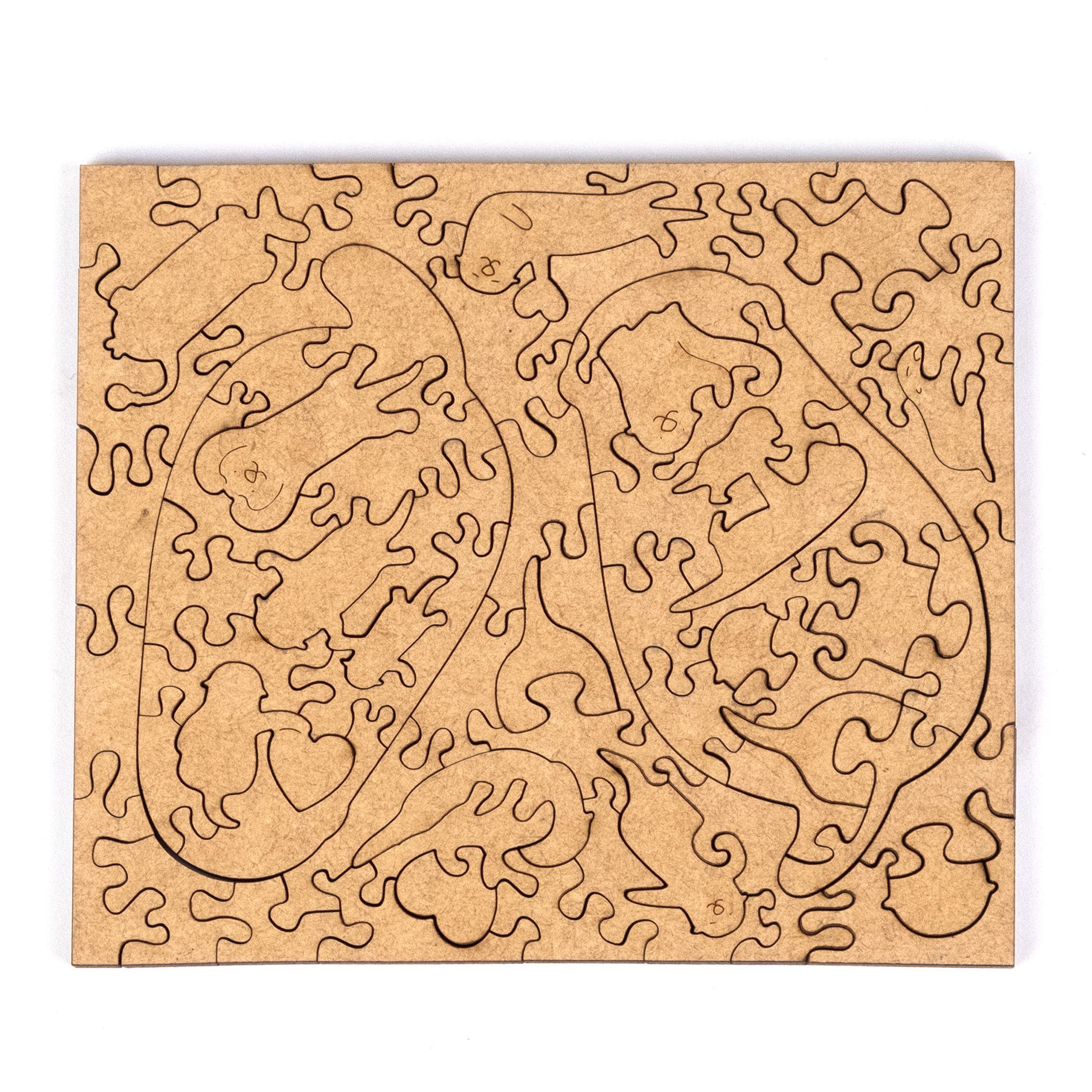 海獺寶貝 Sea ​Otter Baby