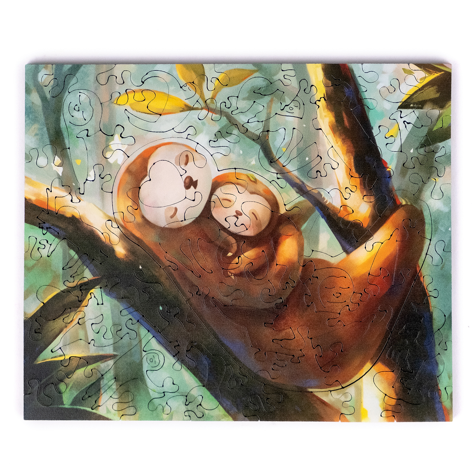 樹懶寶貝 Sloth Baby