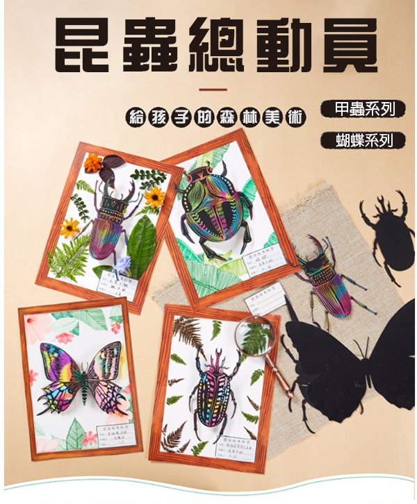 DIY昆蟲總動員標本材料包 M7095