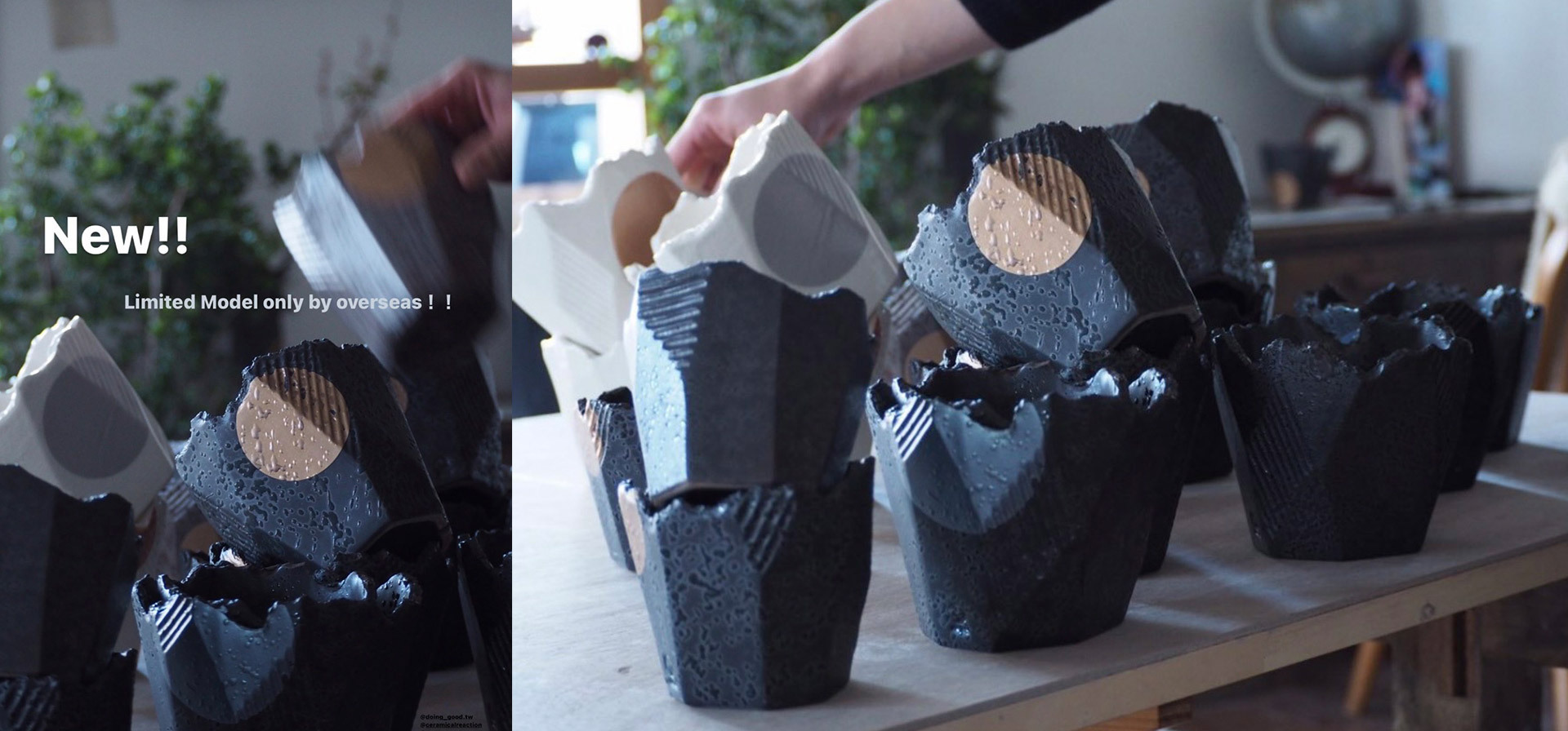 日本N/OH的植木鉢藝饗世界