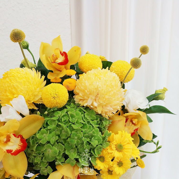 燦爛朝陽 I 盆花  AF220350