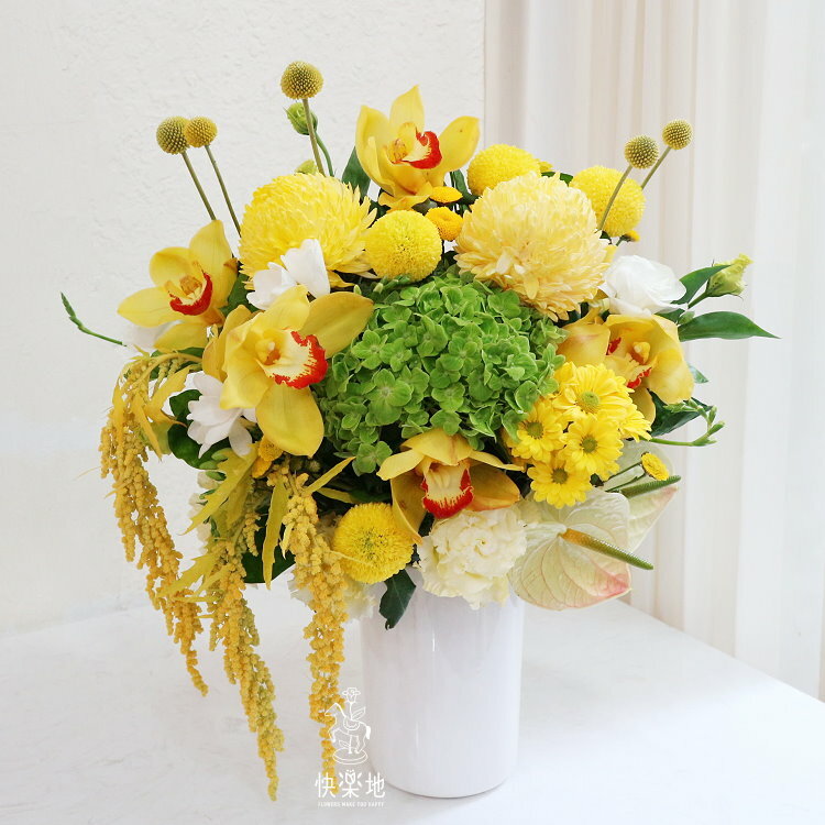 燦爛朝陽 I 盆花  AF220350