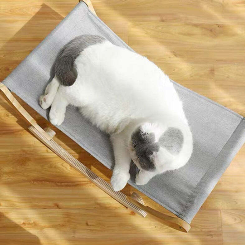 多功能貓貓搖搖床😻😻