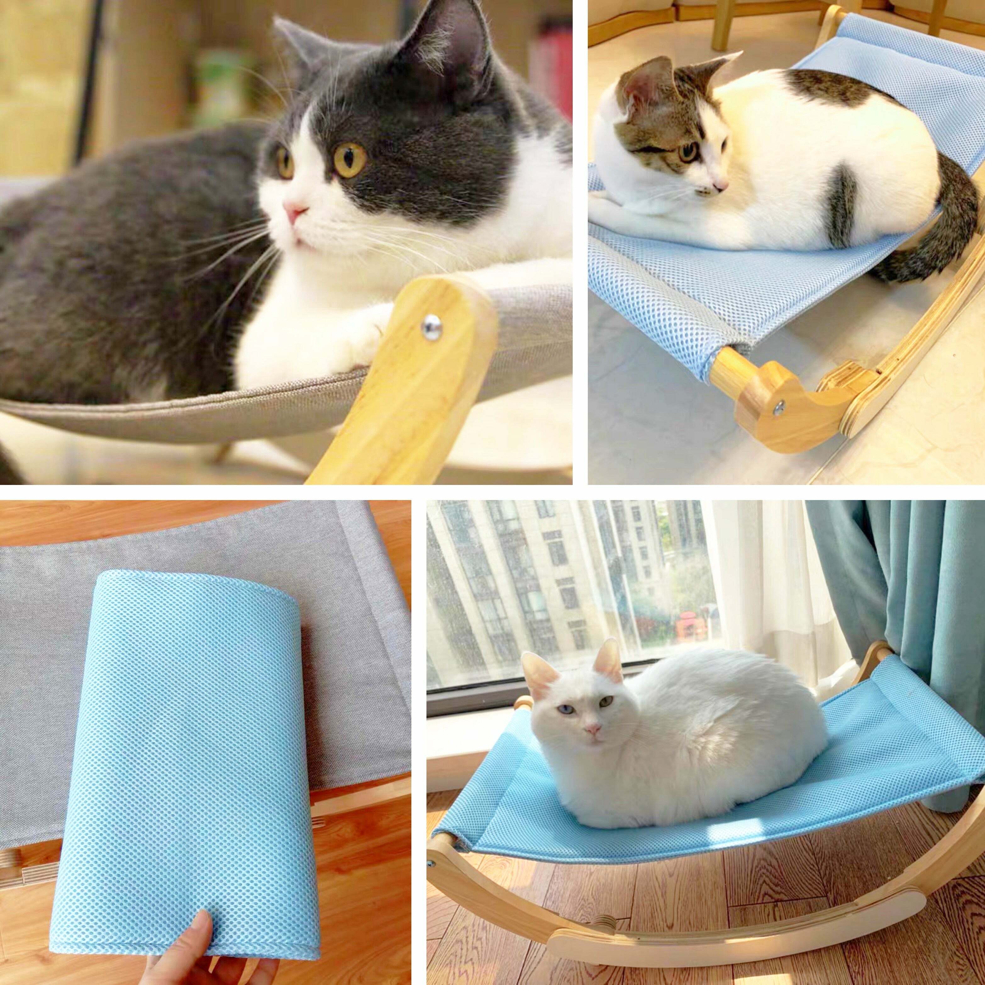 多功能貓貓搖搖床😻😻