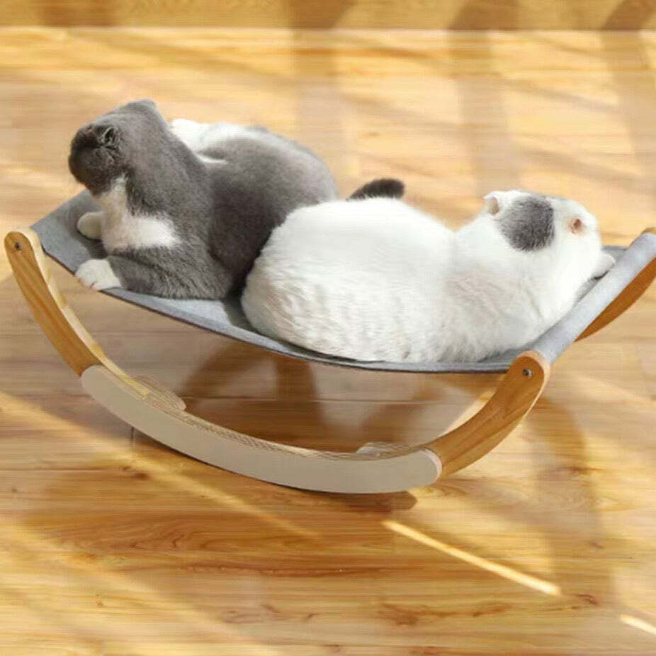多功能貓貓搖搖床😻😻