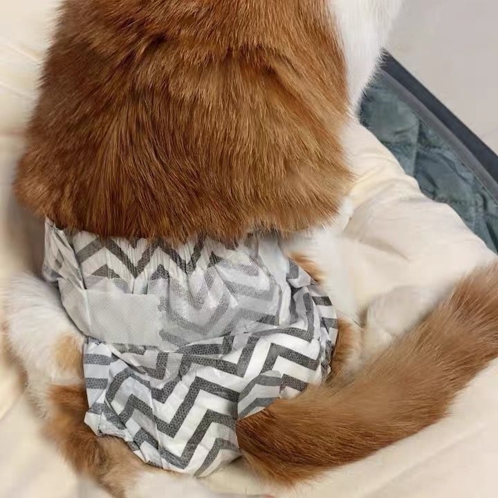 M-Pets 紙尿褲(女) - s