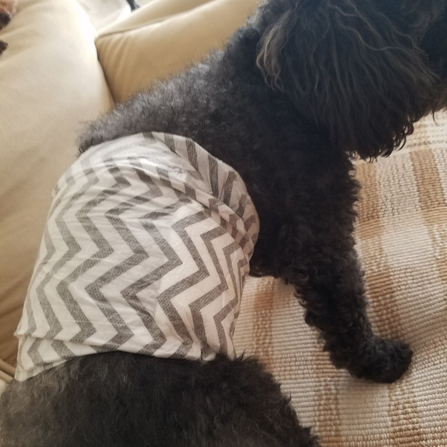 M-Pets 紙尿褲(男) - XL