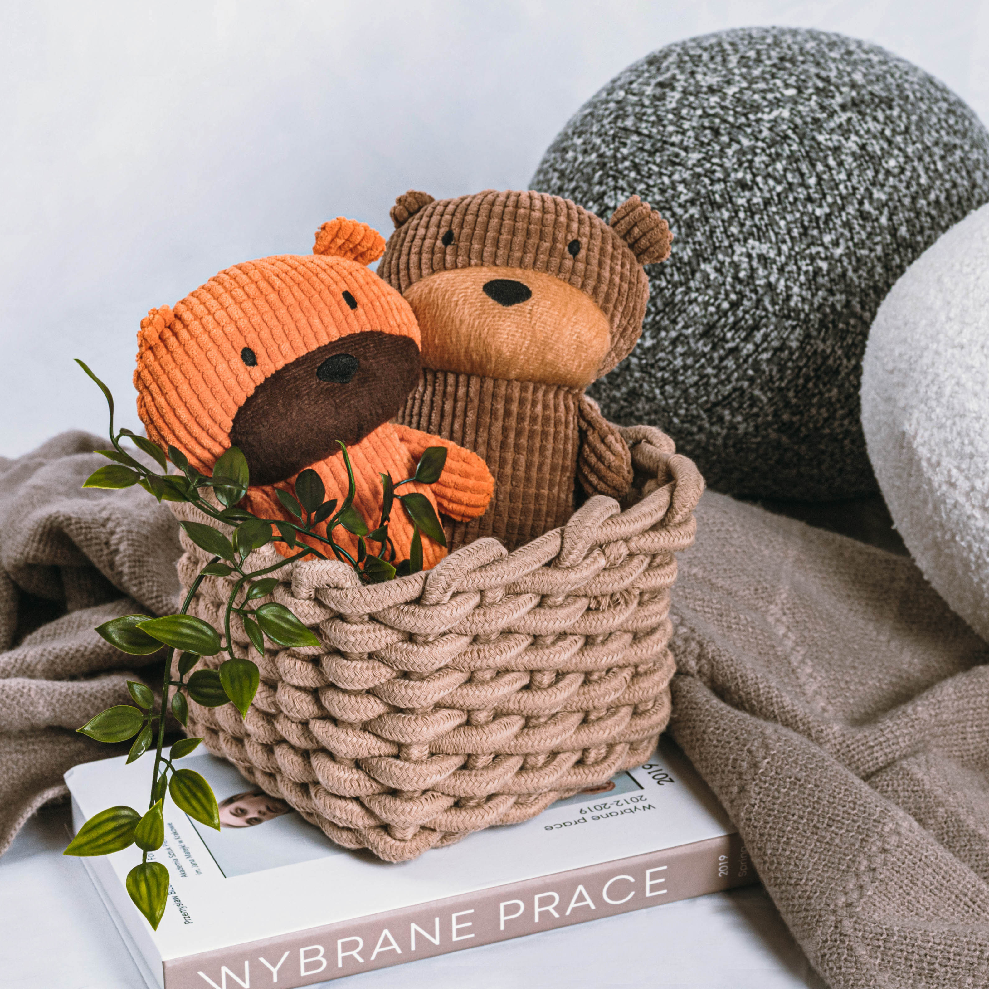 發聲玩具 | 泰迪 - LeapSelect