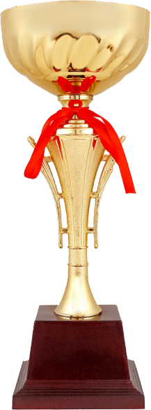 破盤價 29cm 金屬獎盃 升級送彩色排版金貼 913D