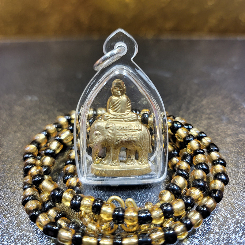 屈泰南-龍婆艮騎象