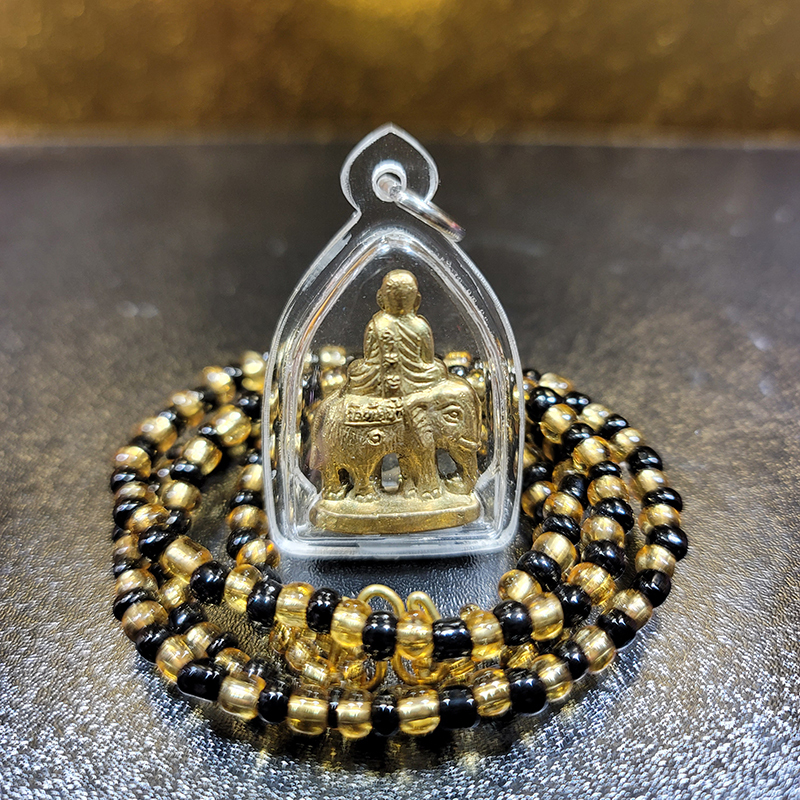 屈泰南-龍婆艮騎象