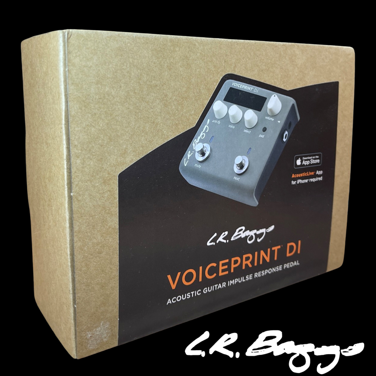 公司貨 L.R. Baggs VOICEPRINT DI 前級 IR 箱體模擬效果器 一年保固
