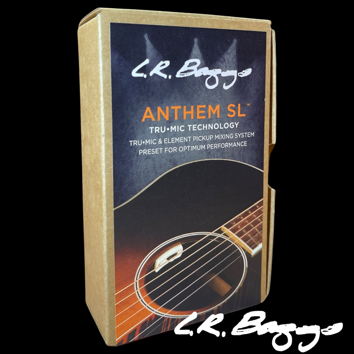 ギター LR BAGGS Anthem L.R.Baggs ANTHEM SL アコースティックギターピックアップ