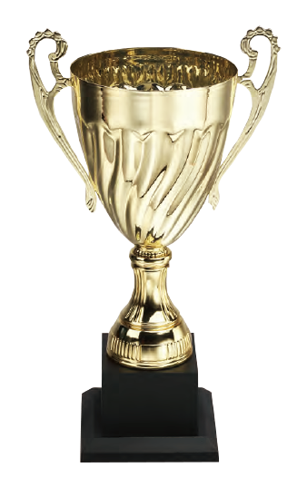 破盤價 SL015 優質金屬獎盃 升級送彩色排版金貼 SL015