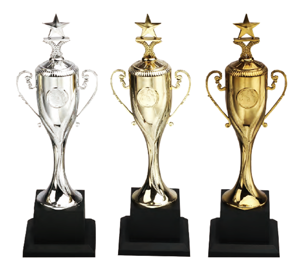 破盤價 SL019 優質樹脂獎盃 升級送彩色排版金貼  SL019