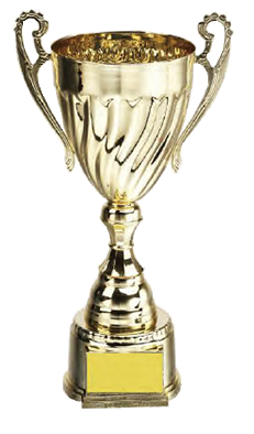 破盤價 SL002 優質金屬獎盃 升級送彩色排版金貼  SL002