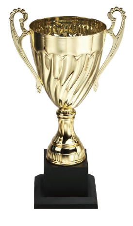 破盤價 SL005 優質金屬獎盃 升級送彩色排版金貼 SL005