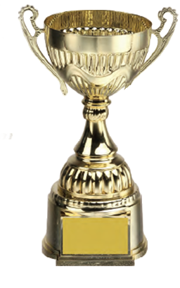 破盤價 SL006 優質金屬獎盃 升級送彩色排版金貼 SL006