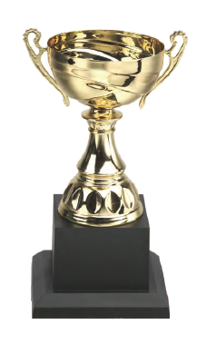 破盤價 SL008 優質金屬獎盃 升級送彩色排版金貼 SL008