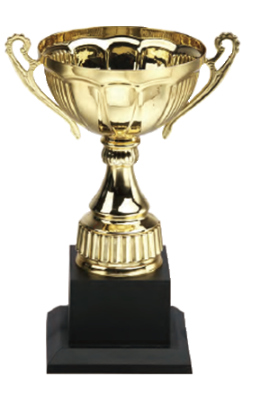 破盤價 SL010優質金屬獎盃 升級送彩色排版金貼 SL010