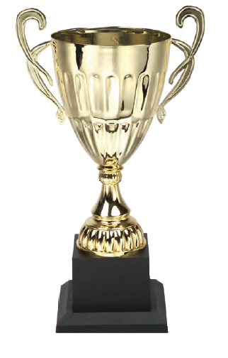 破盤價 SL013 優質金屬獎盃 升級送彩色排版金貼 SL013