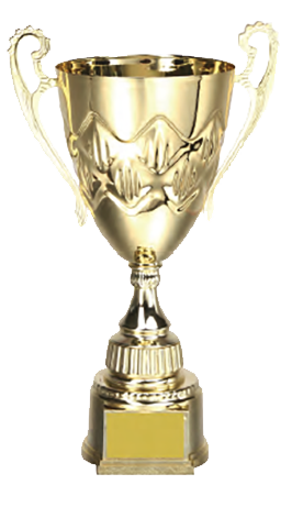 破盤價 SL016 優質金屬獎盃 升級送彩色排版金貼 SL016