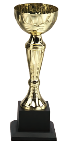 破盤價 SL017 優質金屬獎盃 升級送彩色排版金貼 SL017