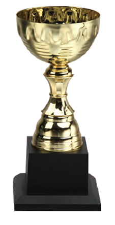 破盤價 SL018 優質金屬獎盃 升級送彩色排版金貼 SL018