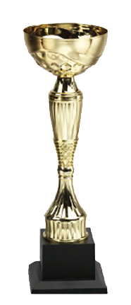 破盤價 SL020 優質金屬獎盃 升級送彩色排版金貼 SL020