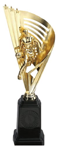 破盤價 SL027B 優質樹脂獎盃 升級送彩色排版金貼 SL027B