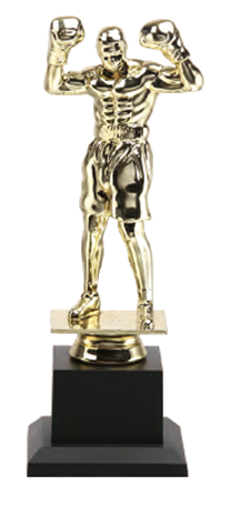 SL036 優質樹脂獎盃 SL036