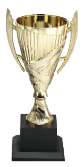 SL039 優質樹脂獎盃 SL039