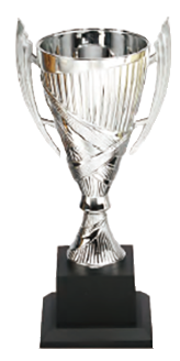 SL039 優質樹脂獎盃 SL039