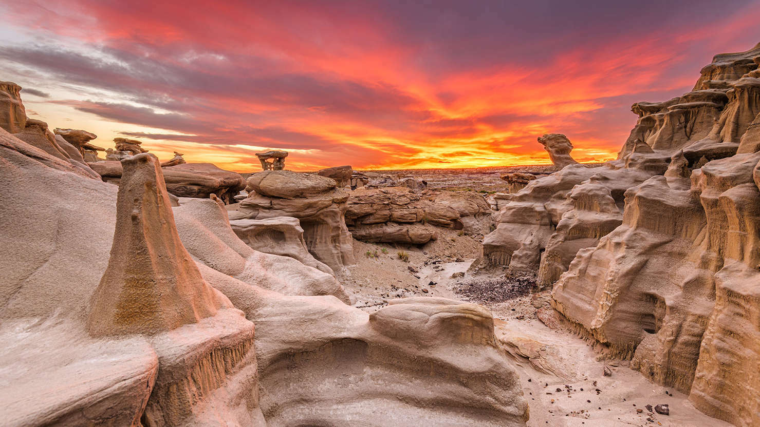 比斯蒂荒野｜美國新墨西哥州 - PP1093