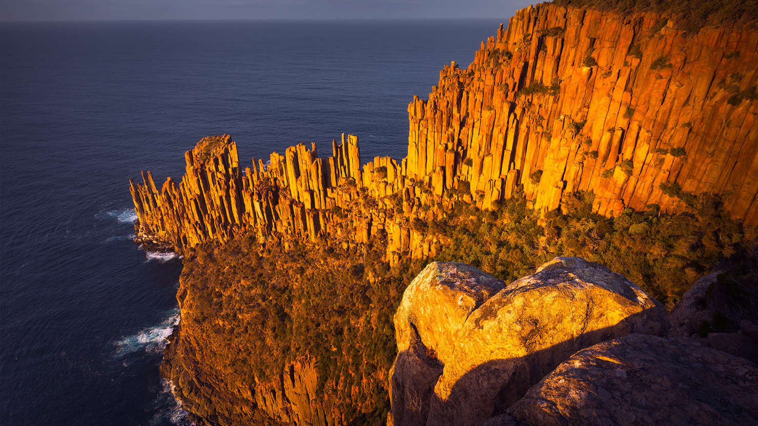 塔斯曼國家公園｜澳洲 - PP1064