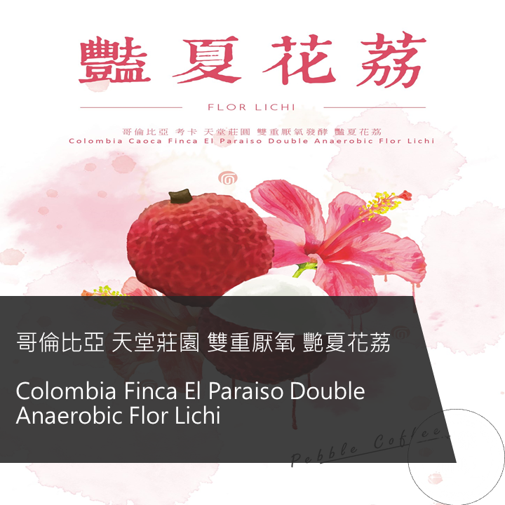 哥倫比亞 天堂莊園 雙重厭氧 艷夏花荔