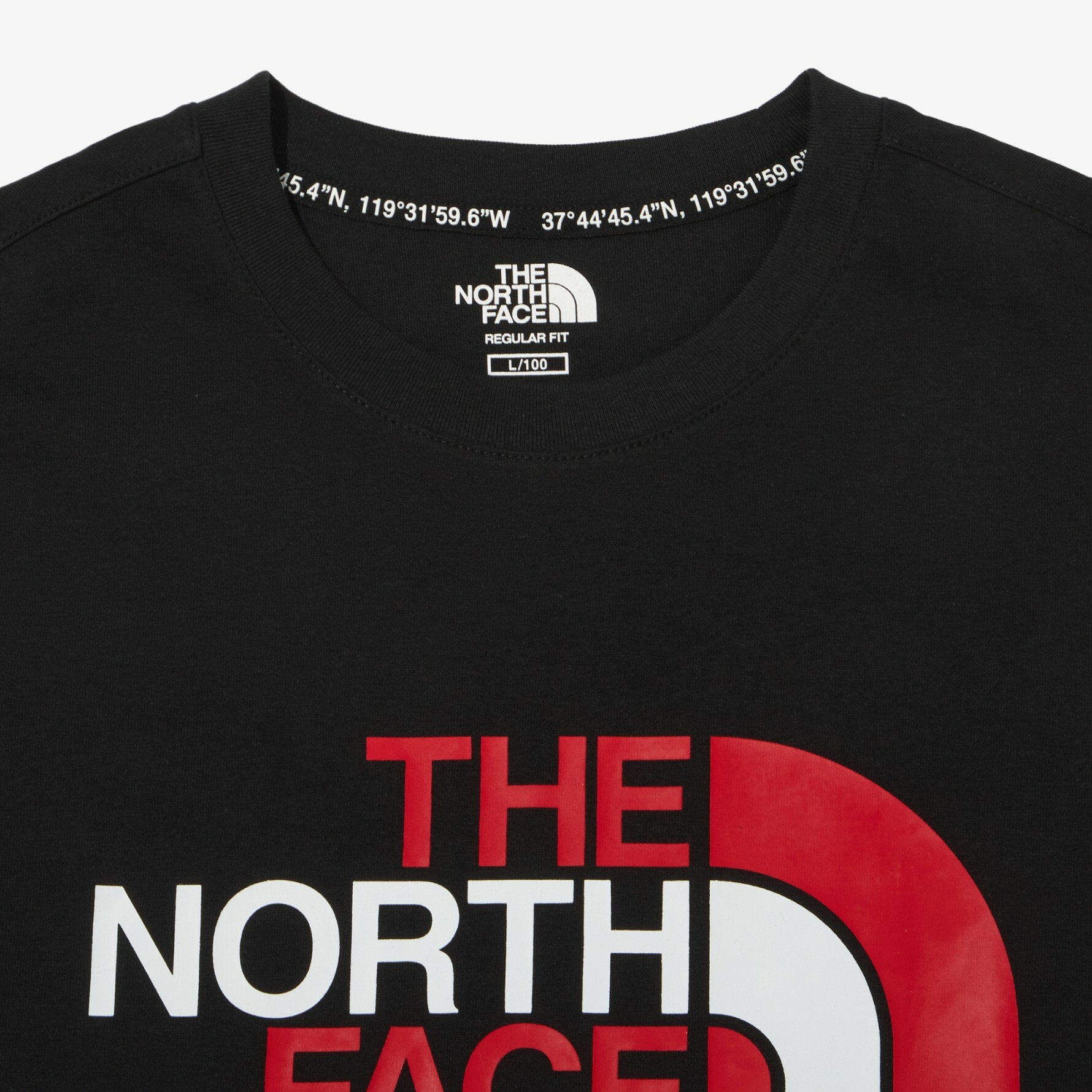 THE NORTH FACE RETRO LOGO EX  黑 拚色LOGO 短袖 短T NT7UN17J