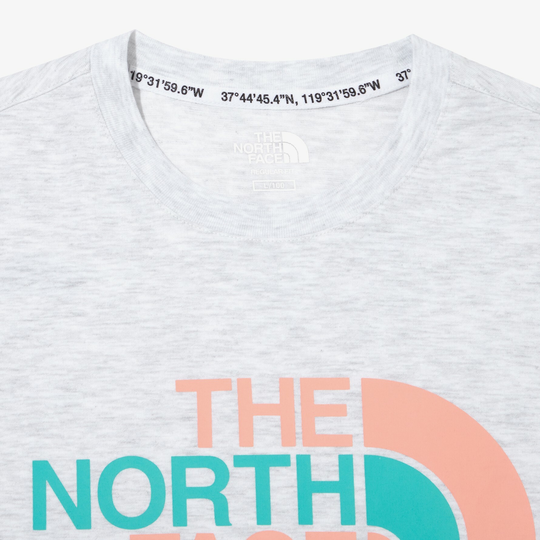 THE NORTH FACE RETRO LOGO EX 灰 拚色LOGO 短袖 短T NT7UN17L